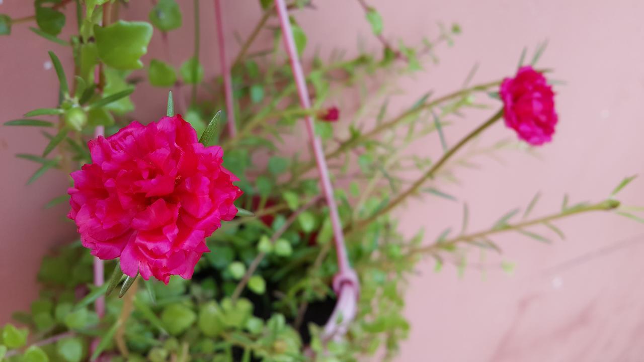 Pama Hotel Kampong Chhnang المظهر الخارجي الصورة